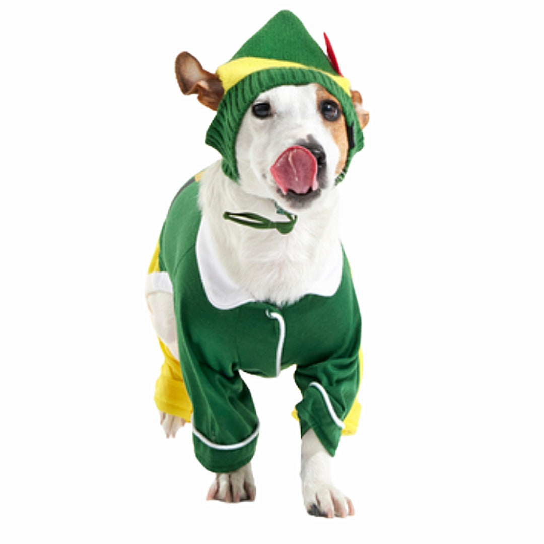 Elf Dog Toy & Treat Holiday Gift Box
