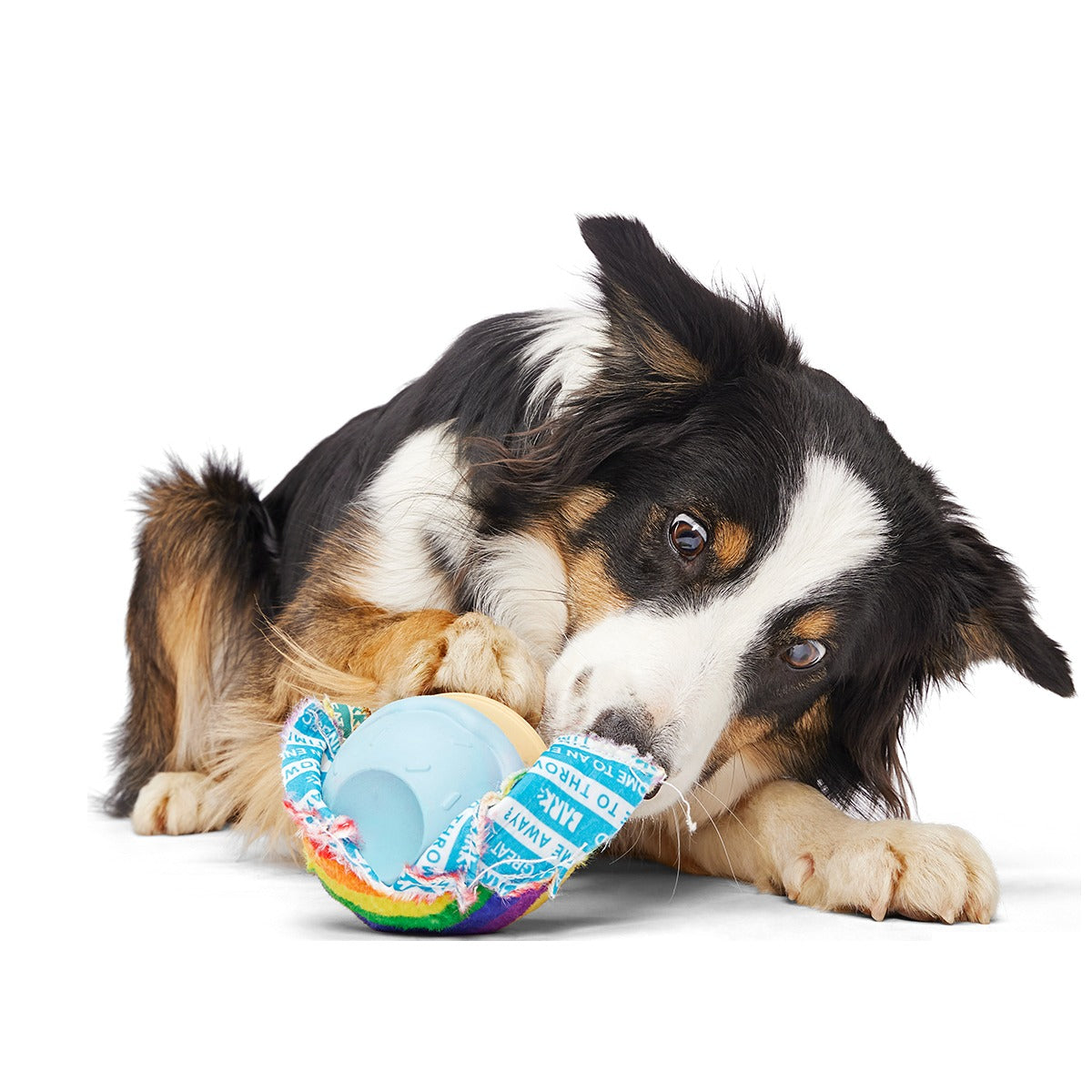 Rainbow-wow Sherbert Super Chewer Durable 2-in-1 Dog Toy
