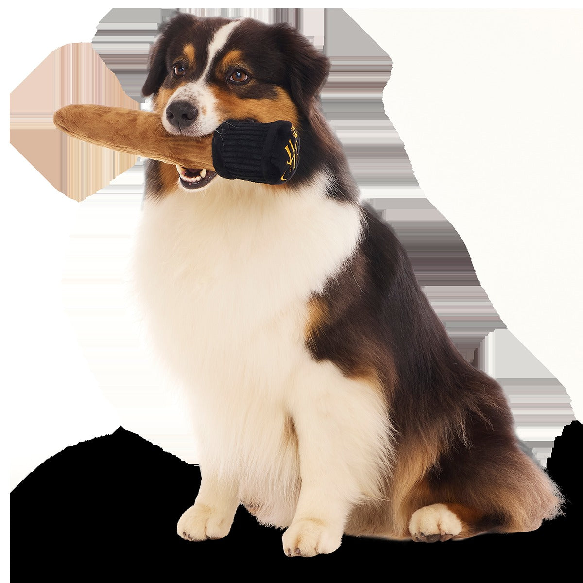 Spellbinding WandTM Plush Tug Dog Toy