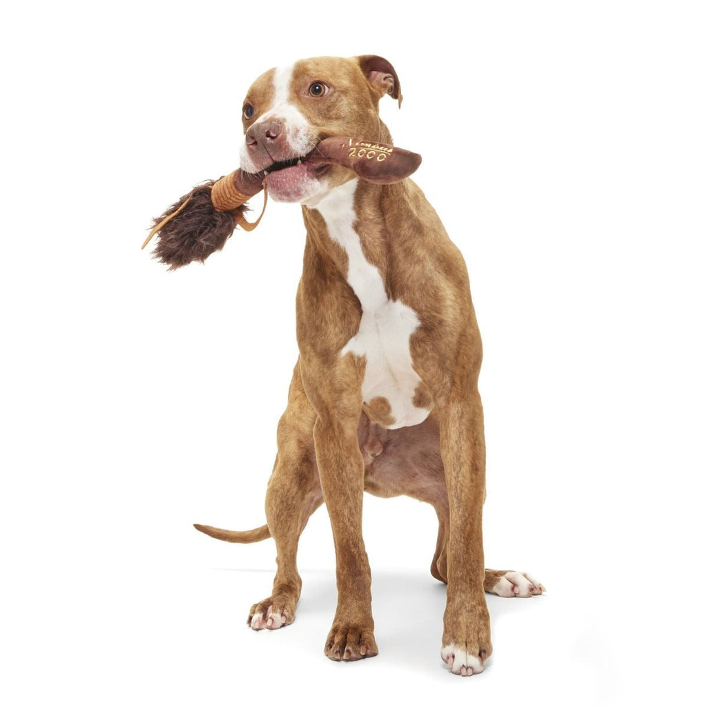 Nimbus 2000TM Broomstick Plush Tug Dog Toy