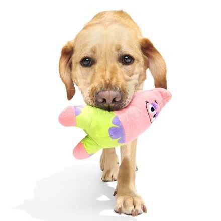 Plush SpongeBob Bundle
