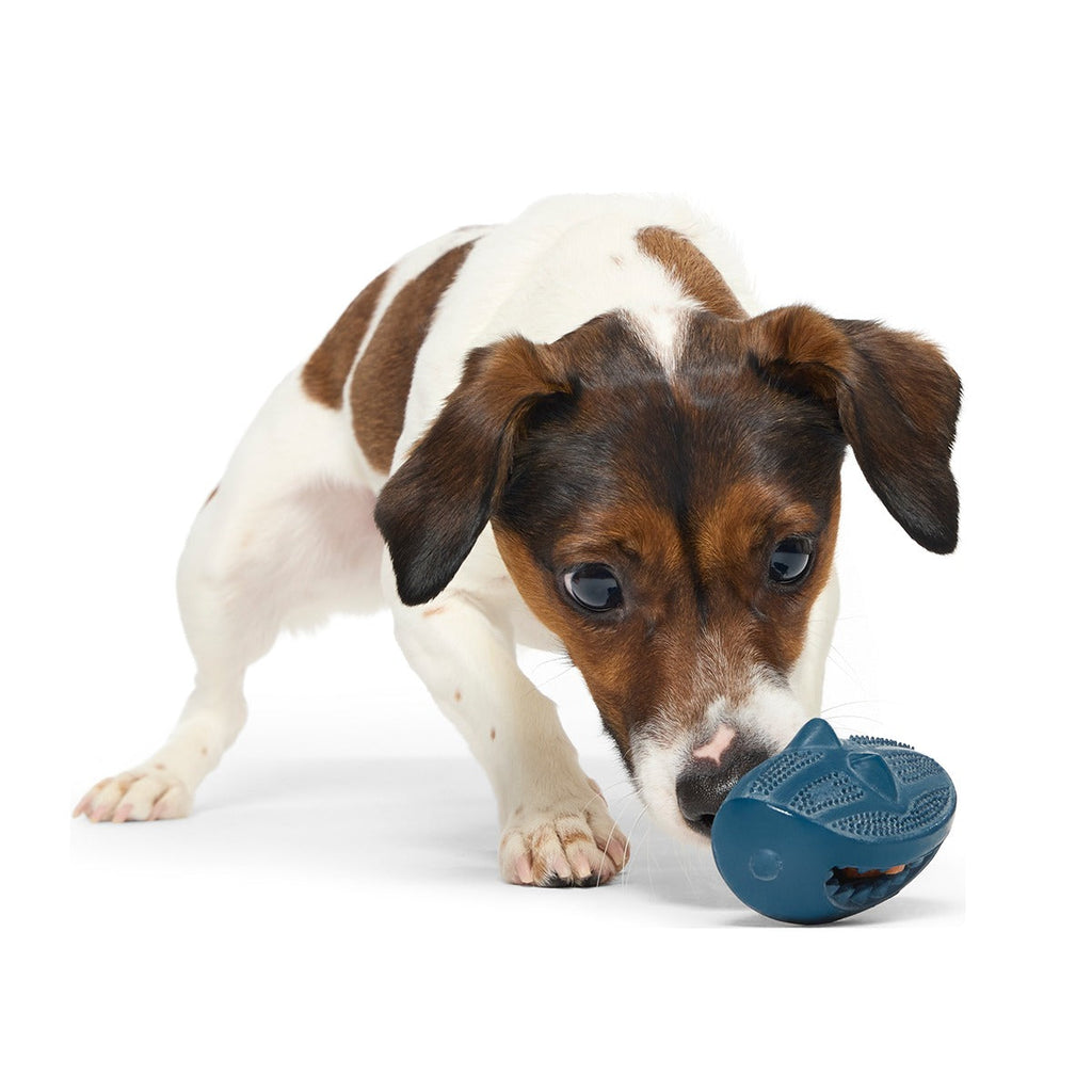 Hammer Fed Shark Super Chewer Durable Enrichment Dog Toy