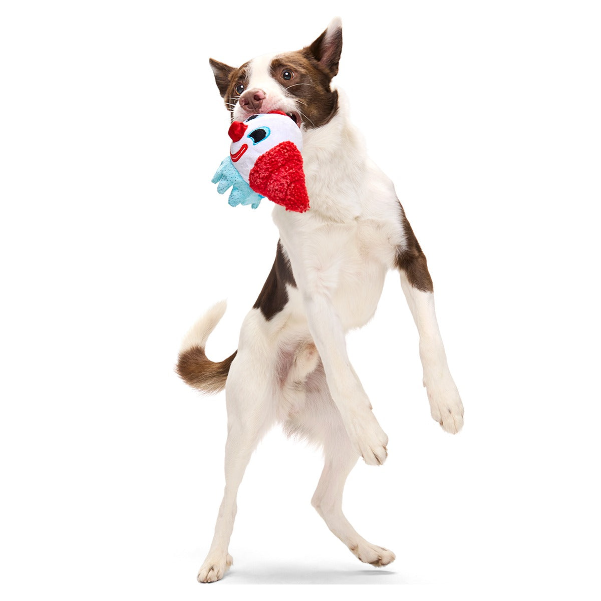 Last Laugh Bundle Plush Multi-Part Dog Toy