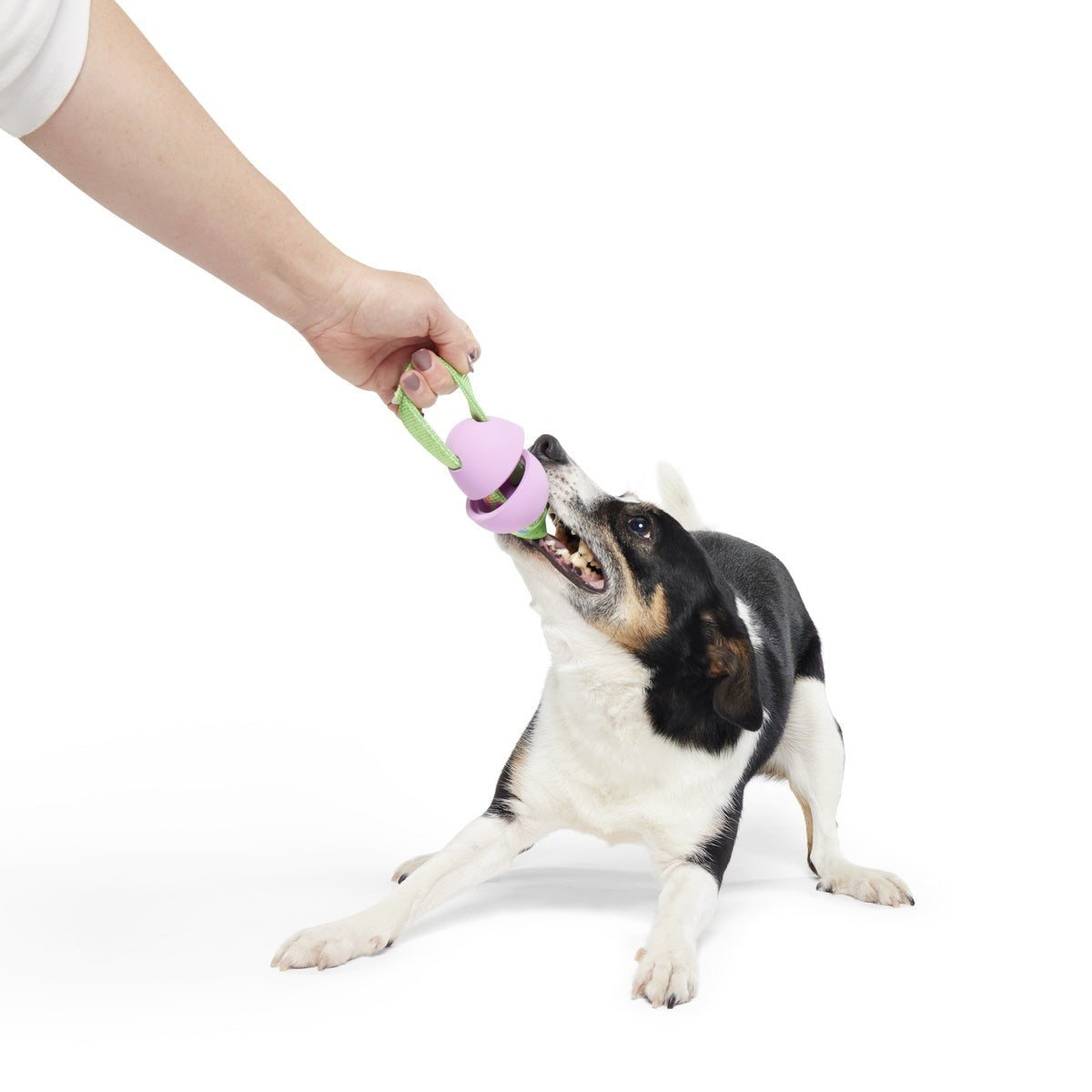 Egg-O-War Tug Super Chewer Durable Tug + Enrichment Dog Toy