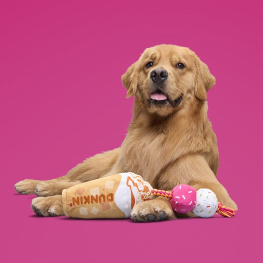 Dunkin'® Pumpkin Signature Latte Plush Tug Dog Toy