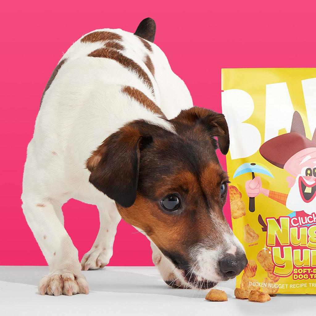 Clucky Nuggy Yumz Soft Baked Chicken Dog Treats, 24 oz