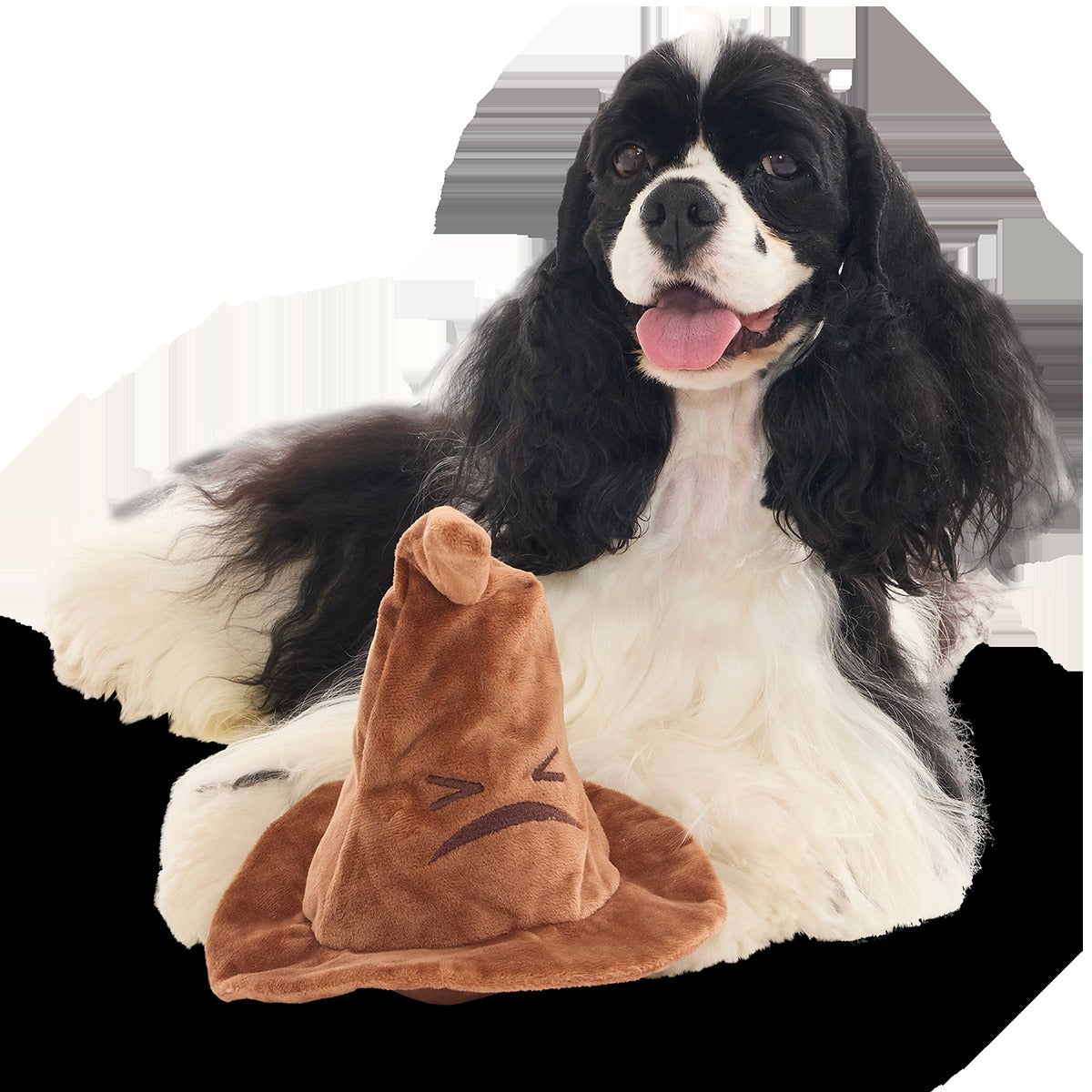 The Sorting HatTM Plush 2-in-1 + Fetch Dog Toy