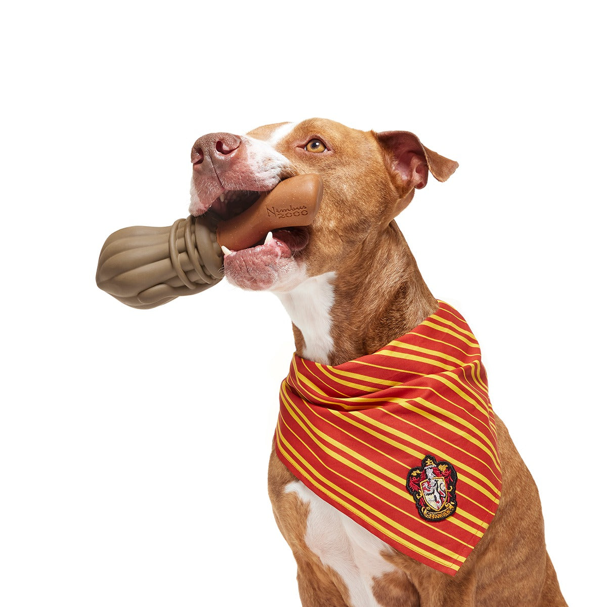 Nimbus 2000TM Durable Super Chewer Tug + Gnaw Dog Toy