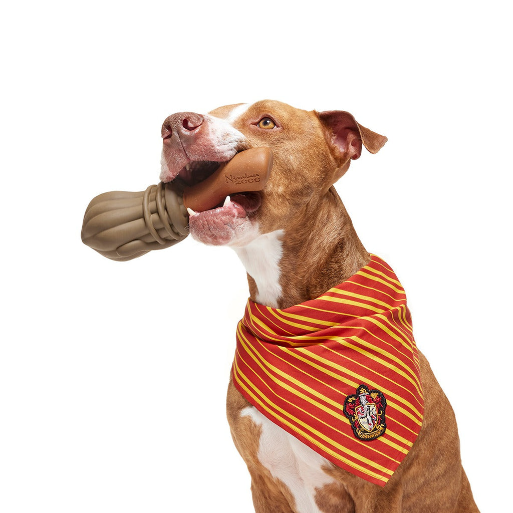 Nimbus 2000TM Durable Super Chewer Tug + Gnaw Dog Toy