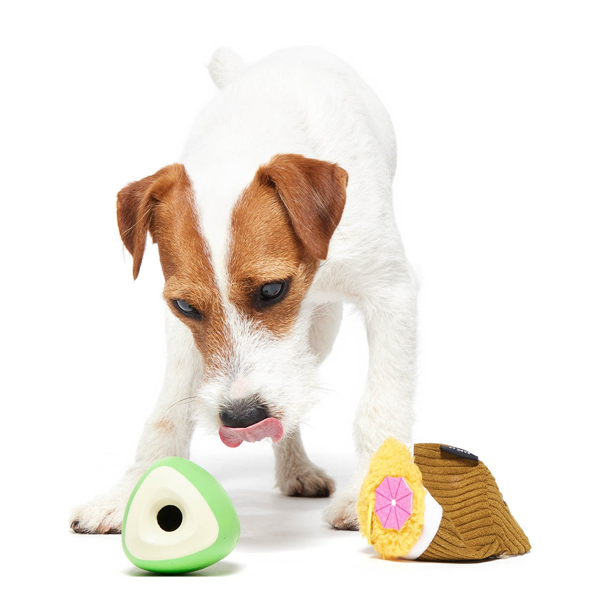 Coco-Mutt Cocktail Super Chewer Durable 2-in-1 Fetch + Enrichment Dog Toy