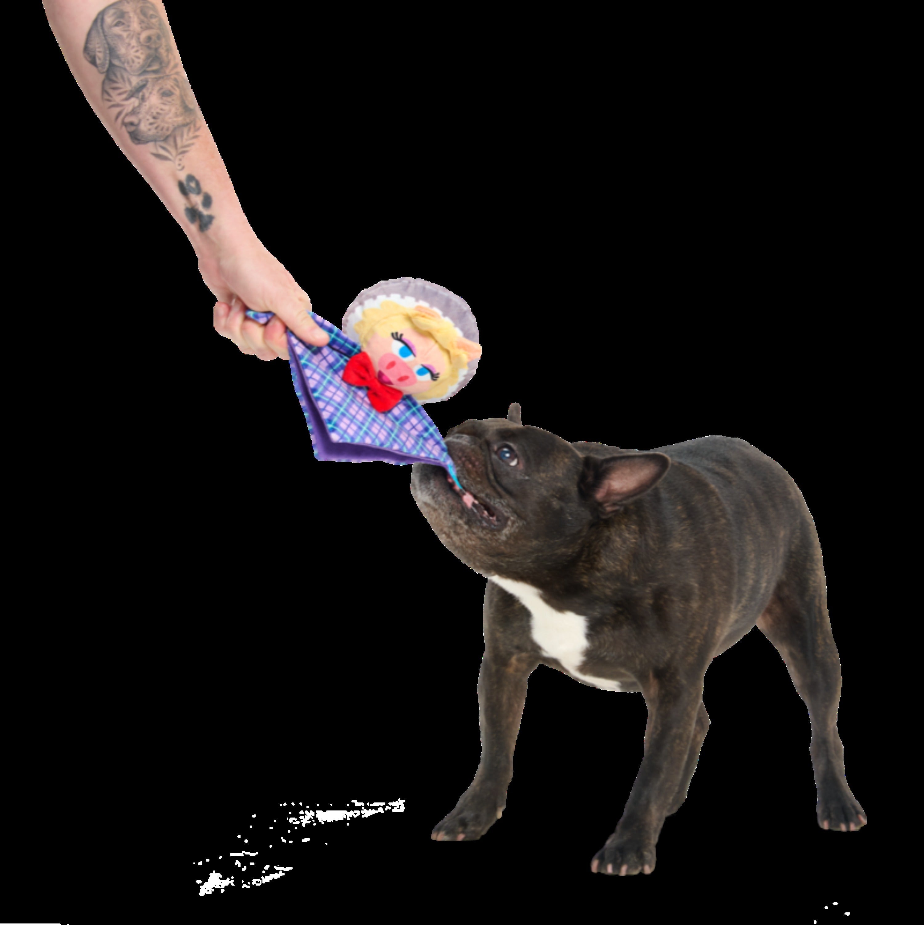 Miss Piggy as “Emily Catch-it” Plush Tug Dog Toy