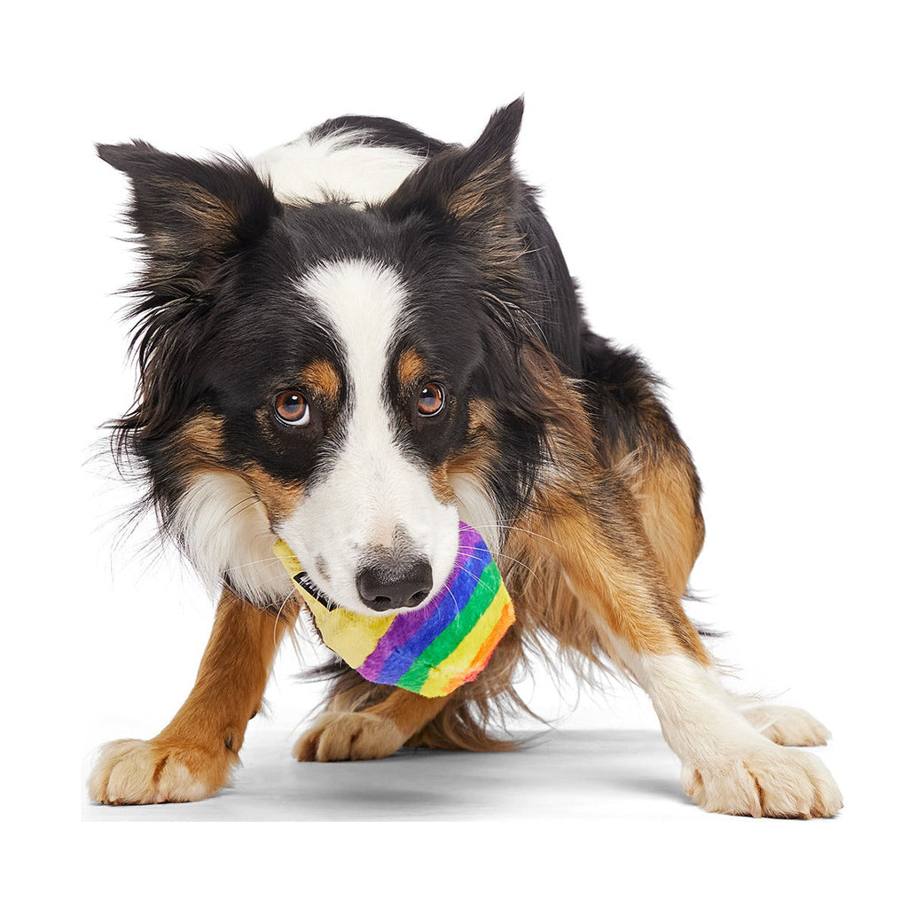 Rainbow-wow Sherbert Super Chewer Durable 2-in-1 Dog Toy