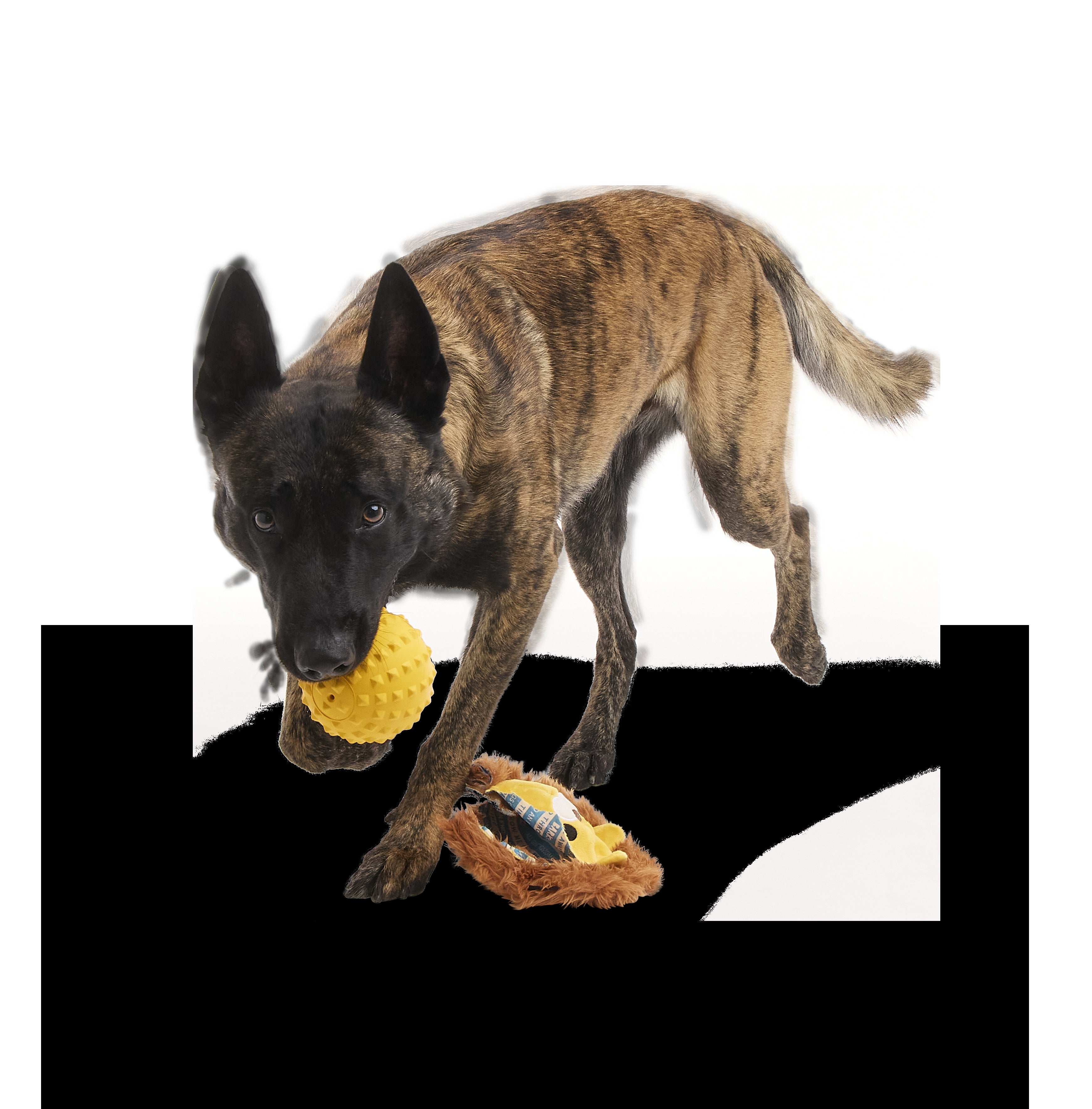 Lionel Lion Durable Super Chewer 2-in-1 Rip and Reveal + Fetch Dog Toy