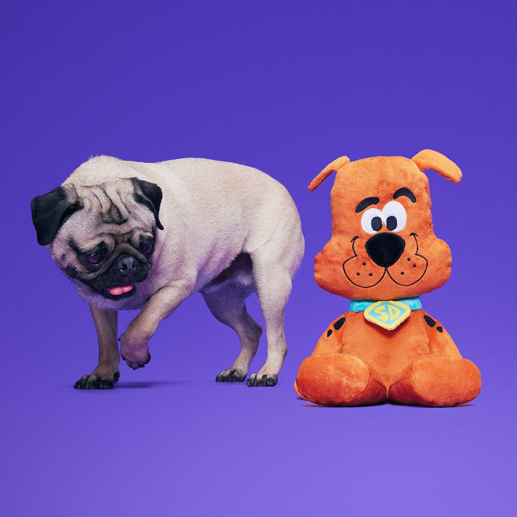 Scooby-Dooby-DooTM Plush Extra-Large Tug Dog Toy