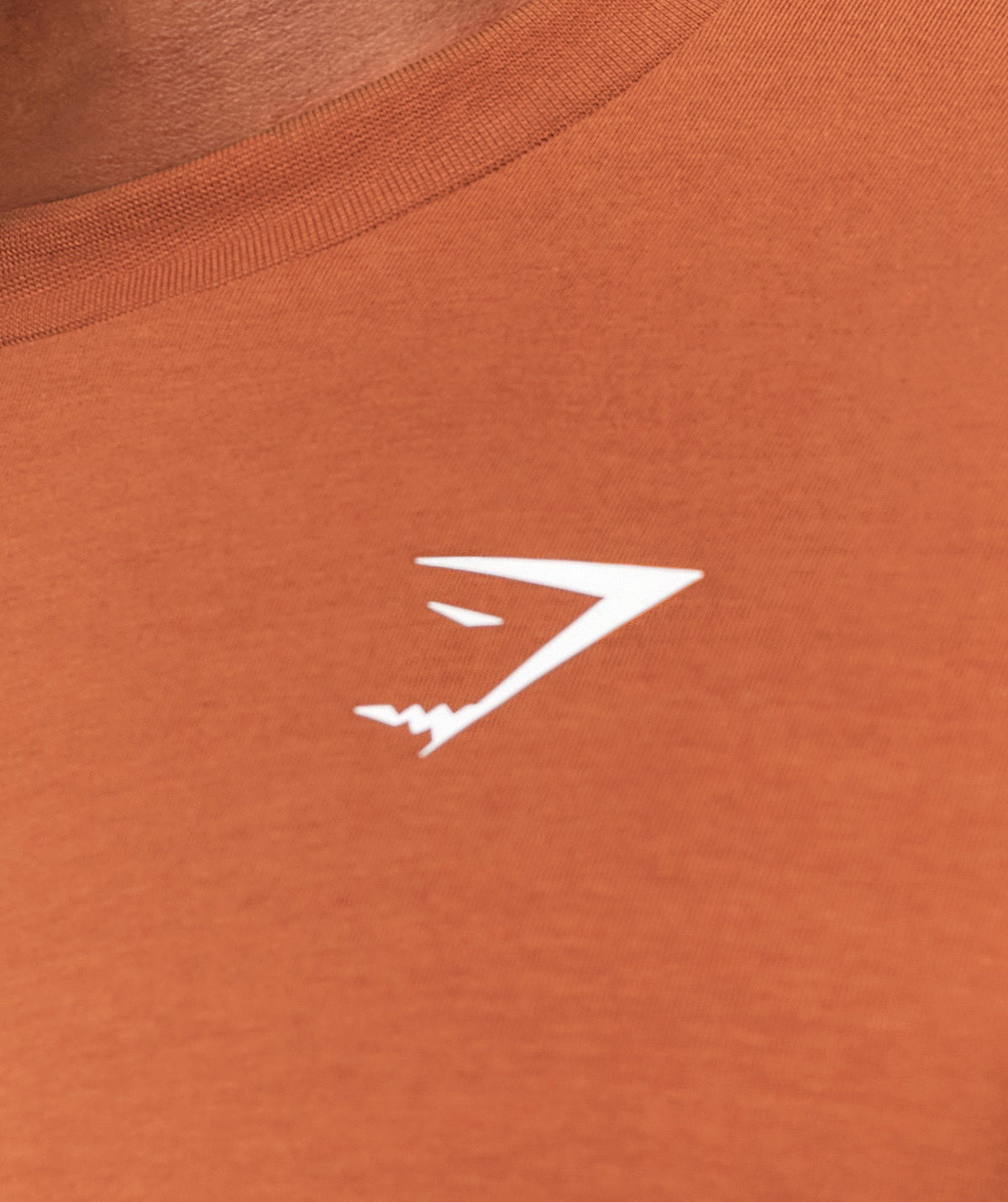 Gymshark Essential Short Sleeve Tee - Spiced Brown