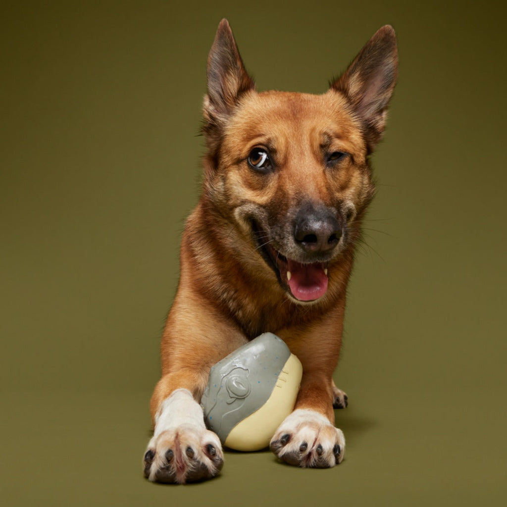 Raptor Hatchling Super Chewer Durable 2-in-1 + Fetch Dog Toy