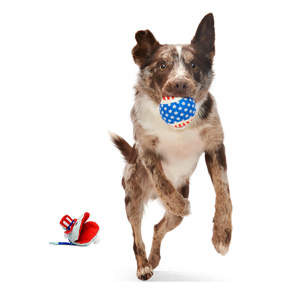 Uncle Clam Plush Multi-Part + Fetch Dog Toy