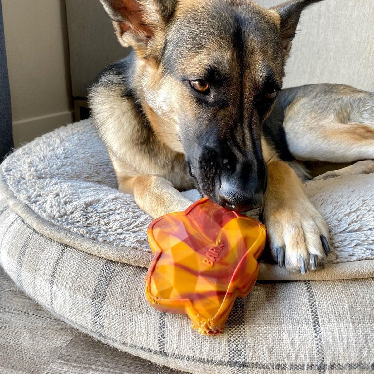 Mighty Maple Leaf Durable Super Chewer Gnaw Dog Toy