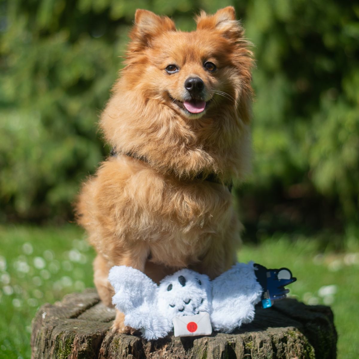 HedwigTM Plush Tug Dog Toy