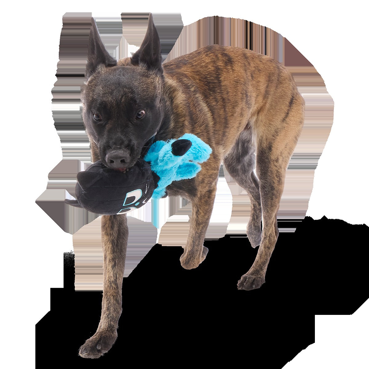 The Purrfect Crime Plush 2-in-1 + Tug Dog Toy