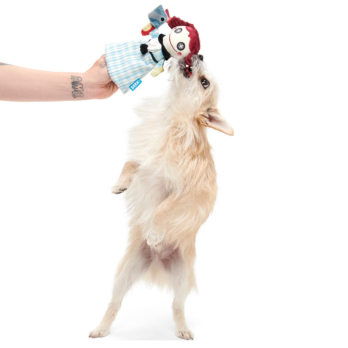 Tragedy Ann Plush Tug Dog Toy