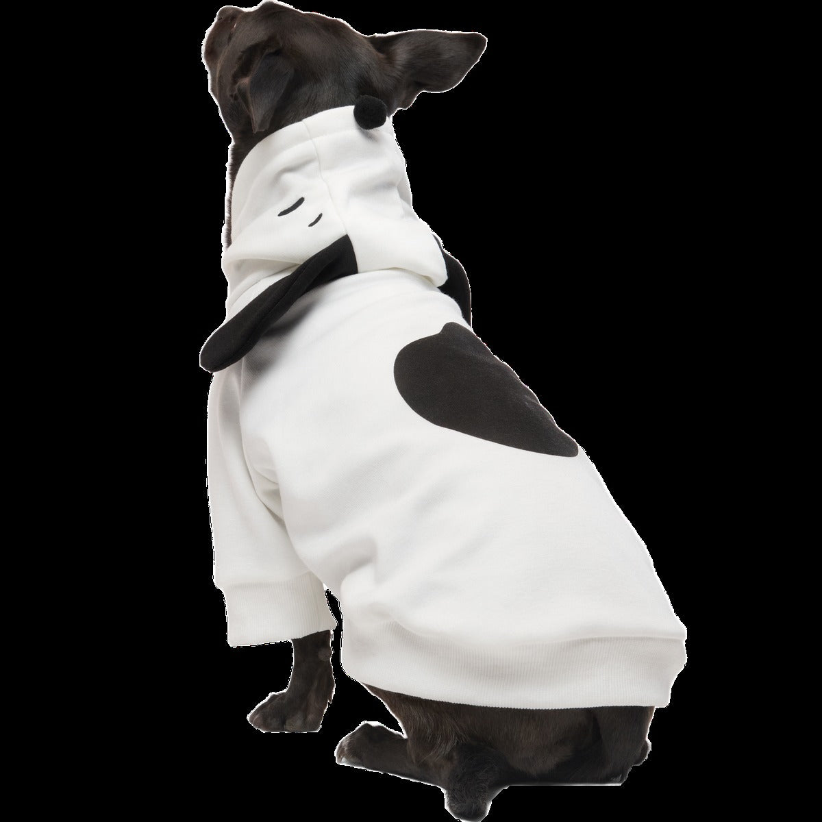 Snoopy Dog Hoodie