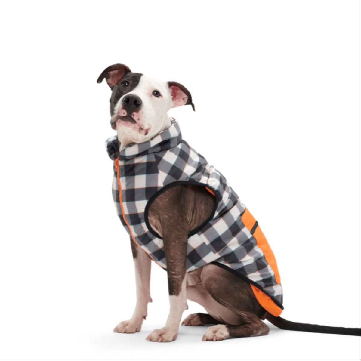 Plaid To The Bone Dog Puffer Vest