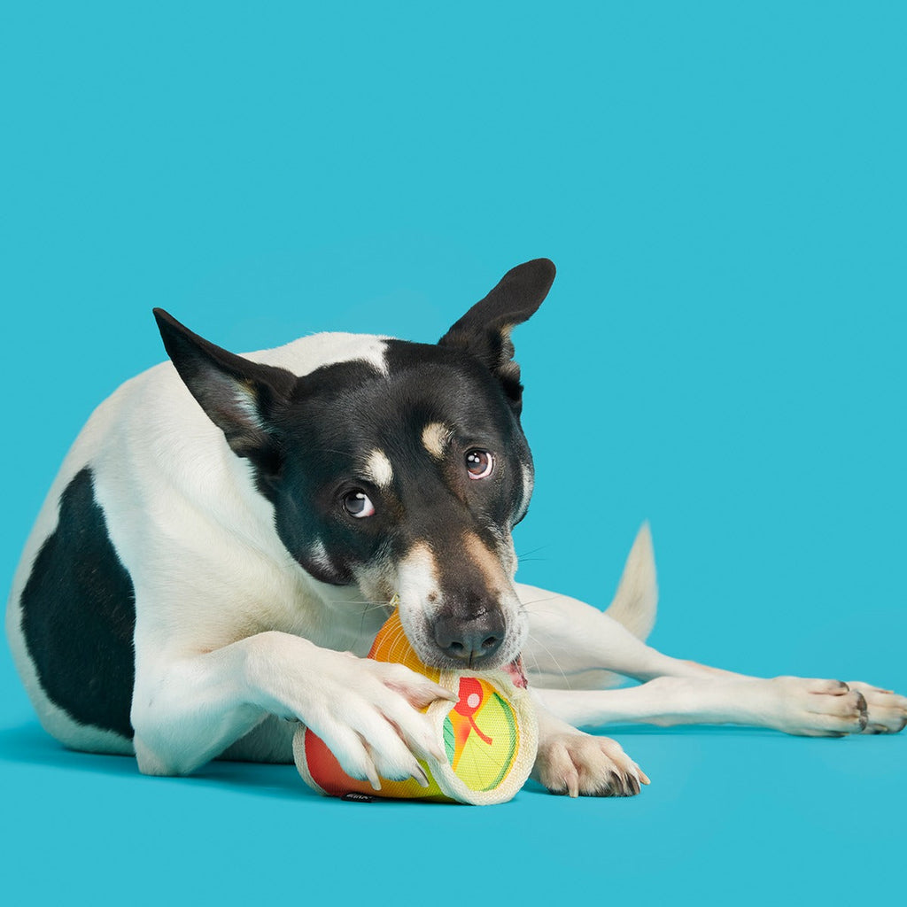 Mai Toy Super Chewer Durable 2-in-1 + Enrichment Dog Toy