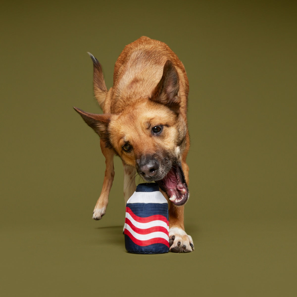 Nedry's Scheme Revealed Durable Super Chewer 2-in-1 Rip and Reveal Dog Toy