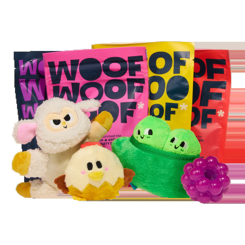 BARK 12 Month Subscription - FREE Extra Toys