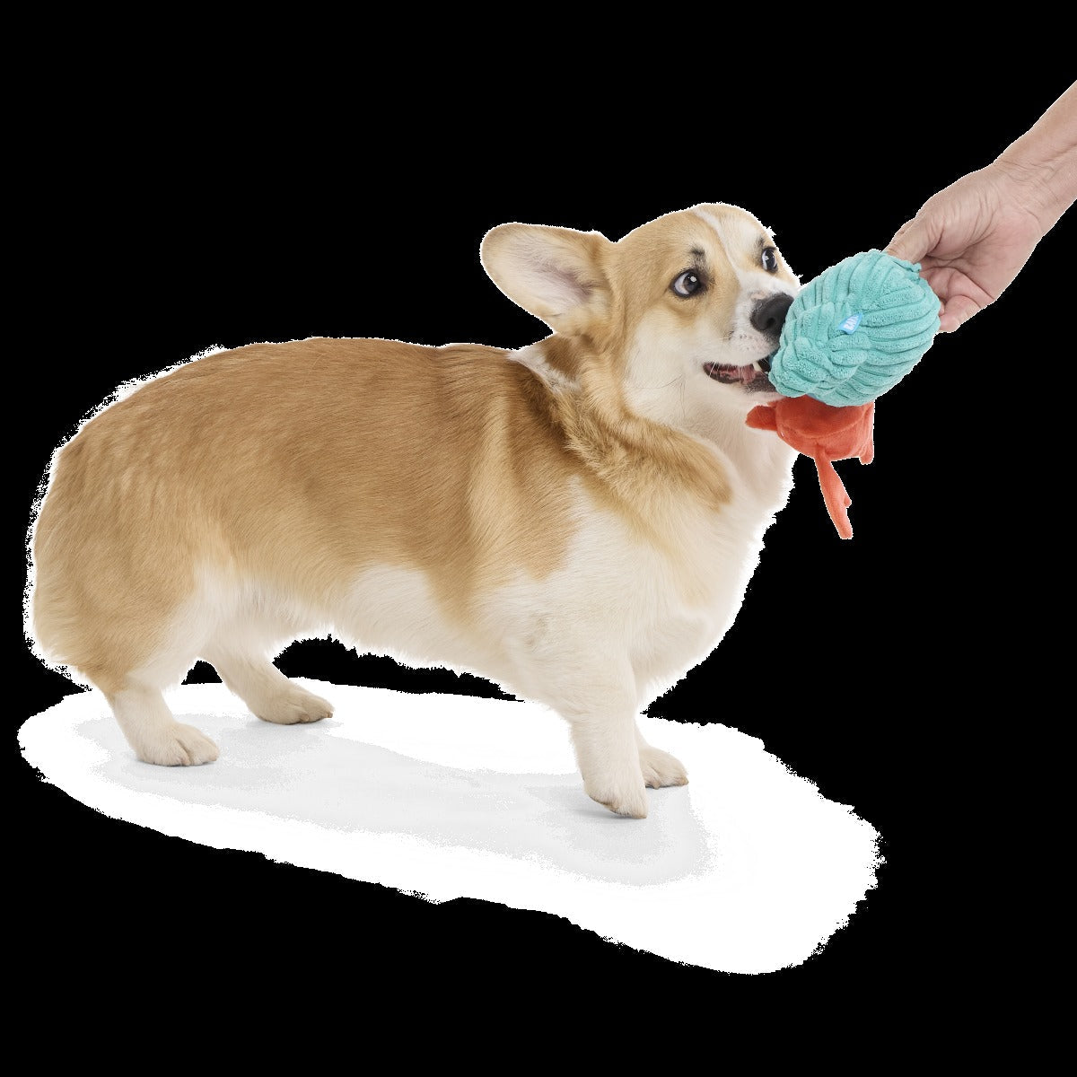 Herman the Hermit Plush Tug Dog Toy