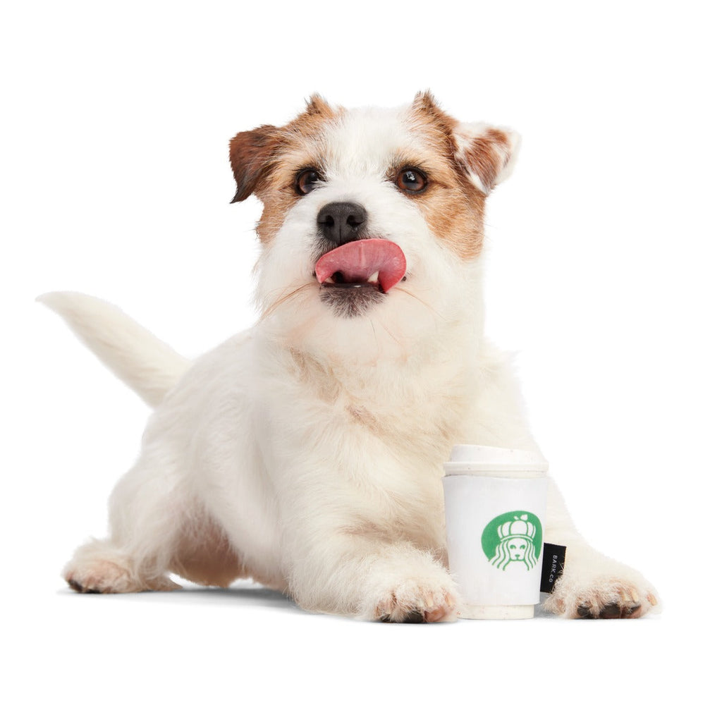 Pupkin Spice Yappuccino Durable Super Chewer 2-in-1 Rip and Reveal + Enrichment Dog Toy