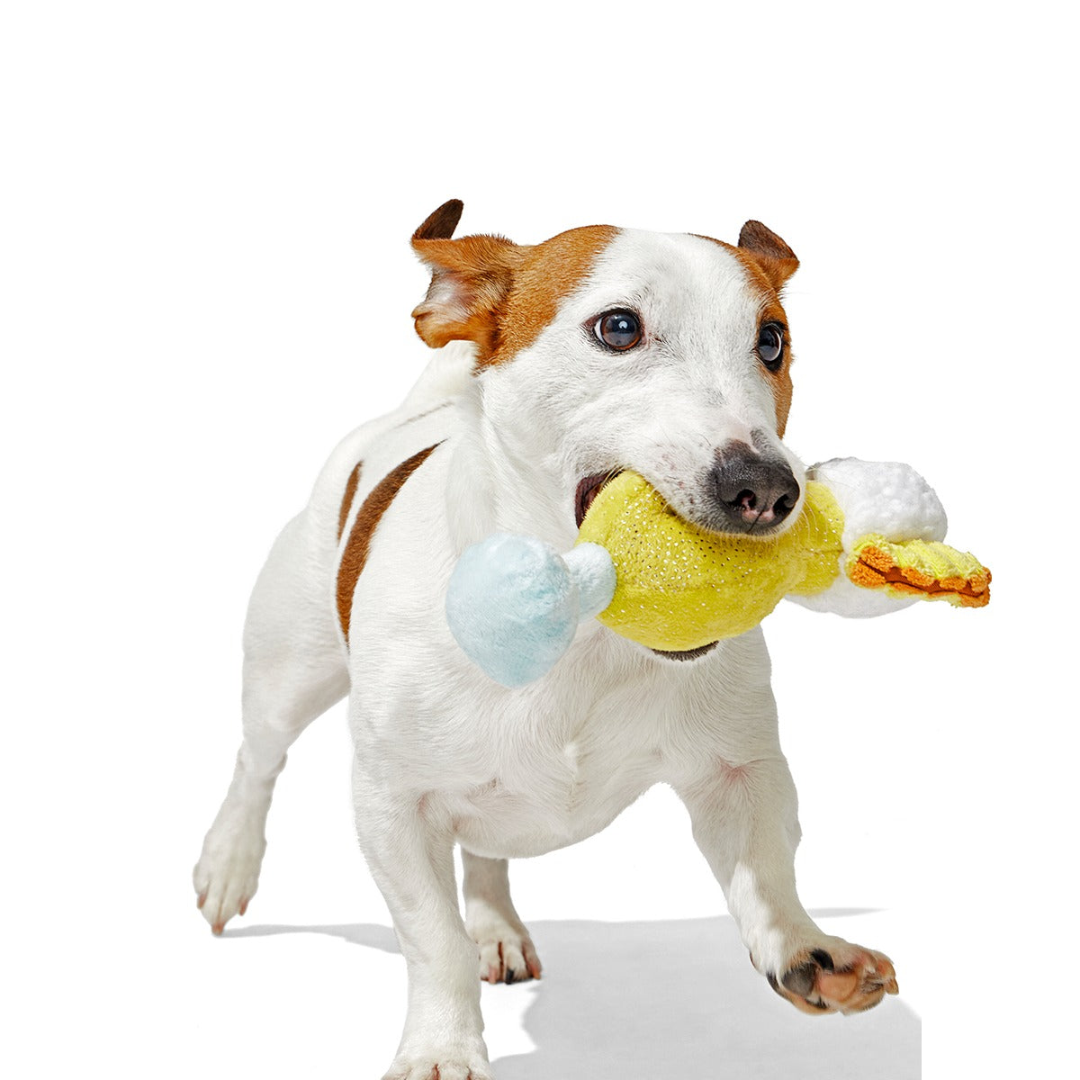Cocktail Club, Plush Cocktail Monthly Dog Toys