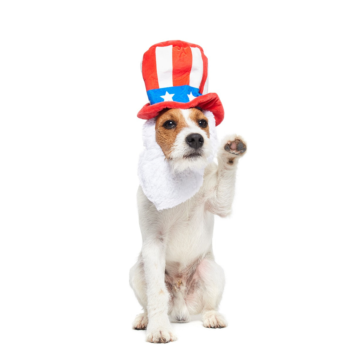 Dog Bless America Plush Wearable Tug Dog Toy