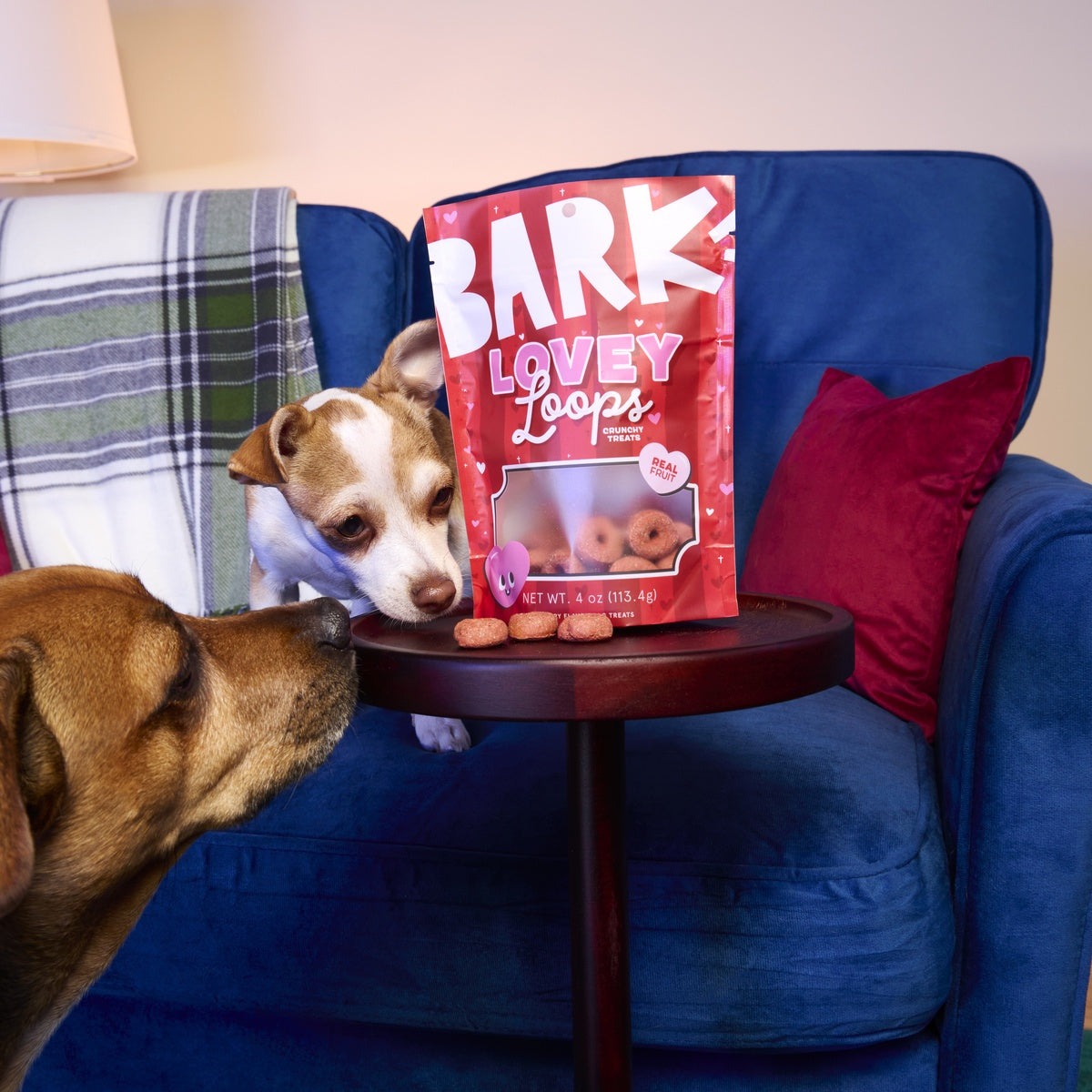 Lovey Loops Vegetarian Hard & Crunchy Dog Treats, 4 oz