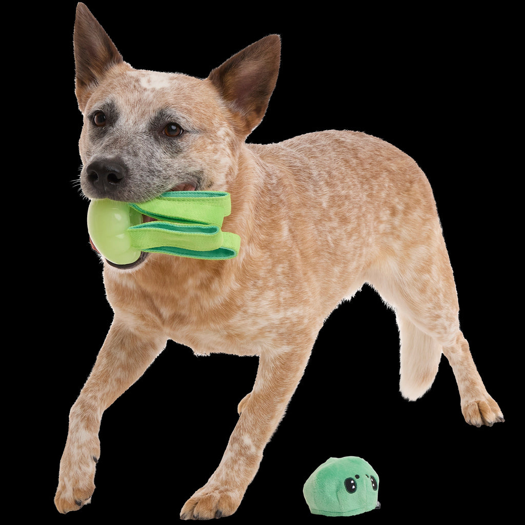 Galactopus Durable Super Chewer 2-in-1 Rip and Reveal + Tug Dog Toy
