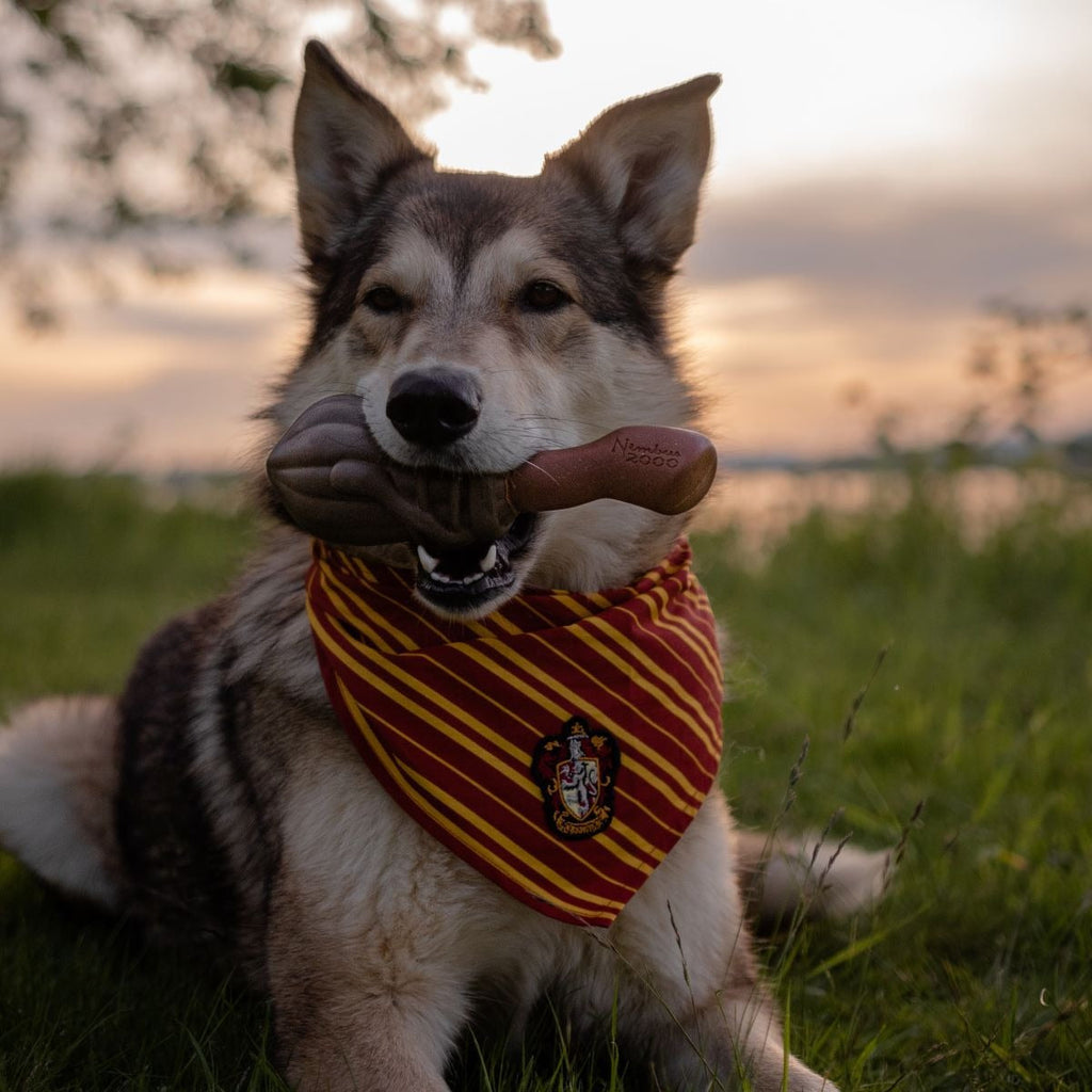 Nimbus 2000TM Durable Super Chewer Tug + Gnaw Dog Toy