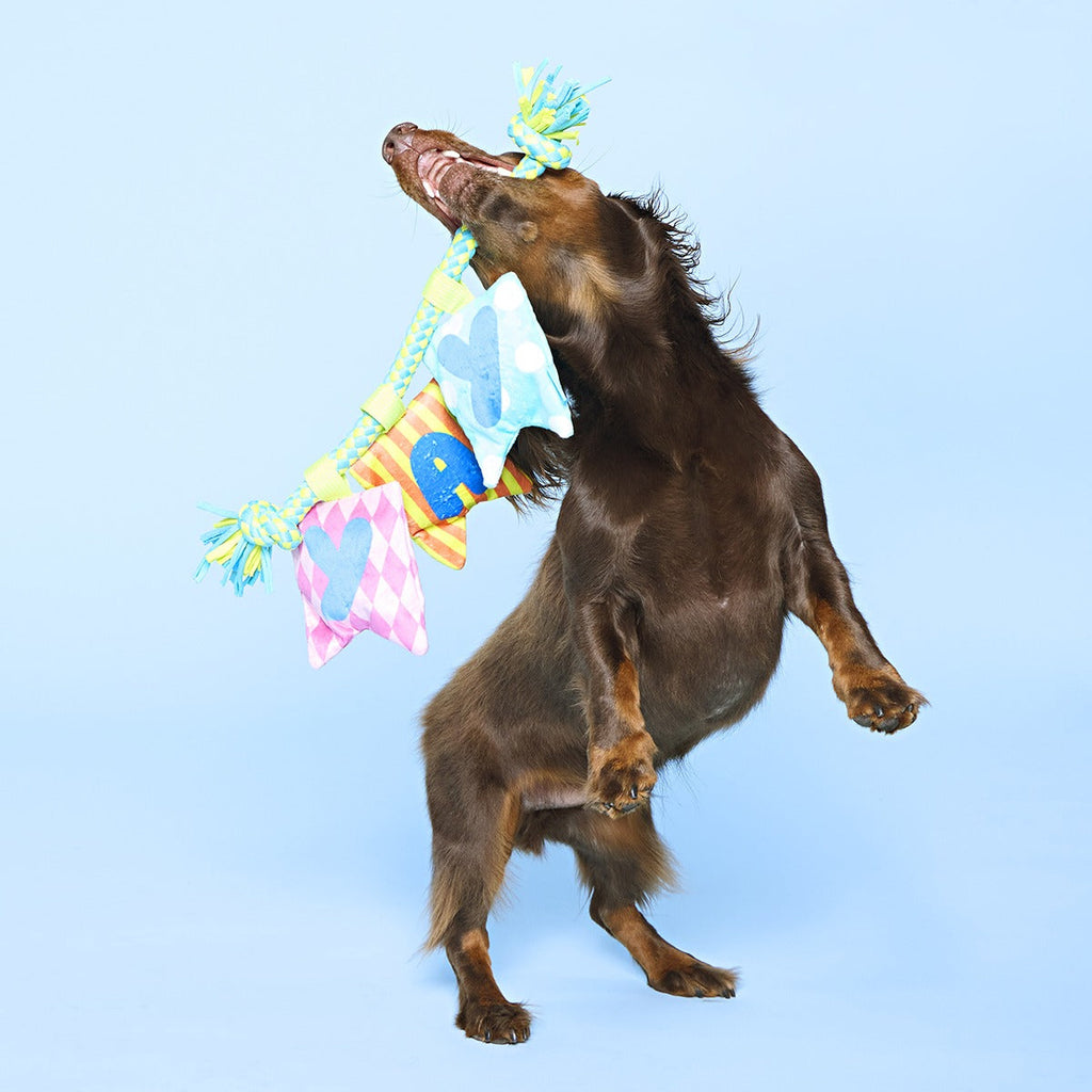 Happy Yay Banner Plush Tug Dog Toy