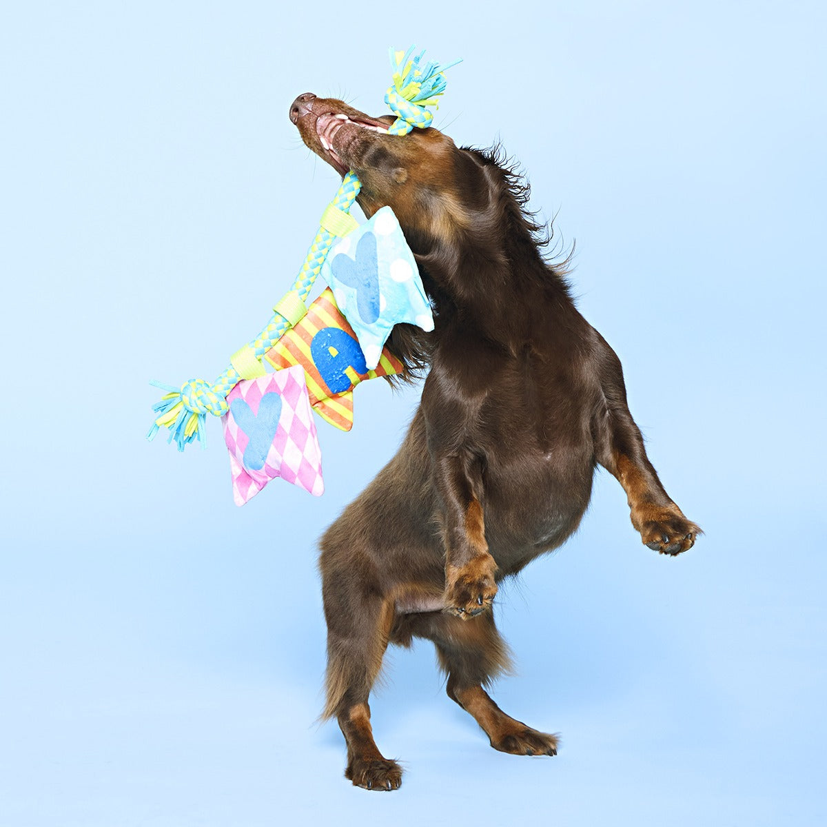Happy Yay Banner Plush Tug Dog Toy