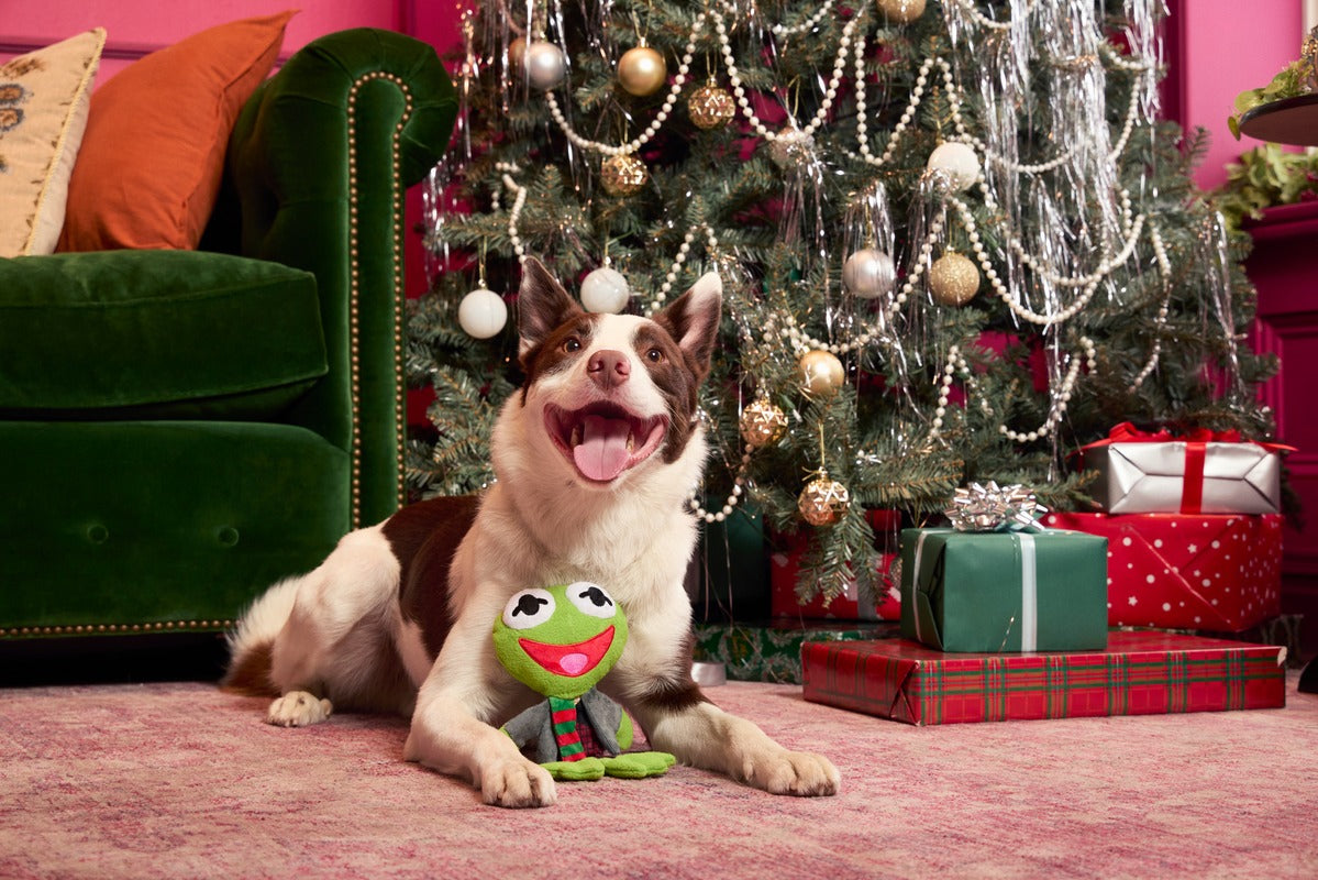 Kermit the Frog as “Bob Catch-It" Plush Tug Dog Toy