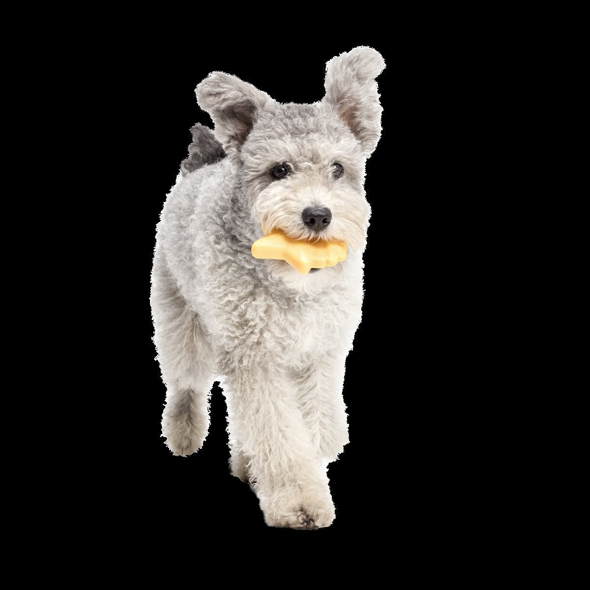 Woodstock's Star Super Chewer Durable Gnaw Dog Toy