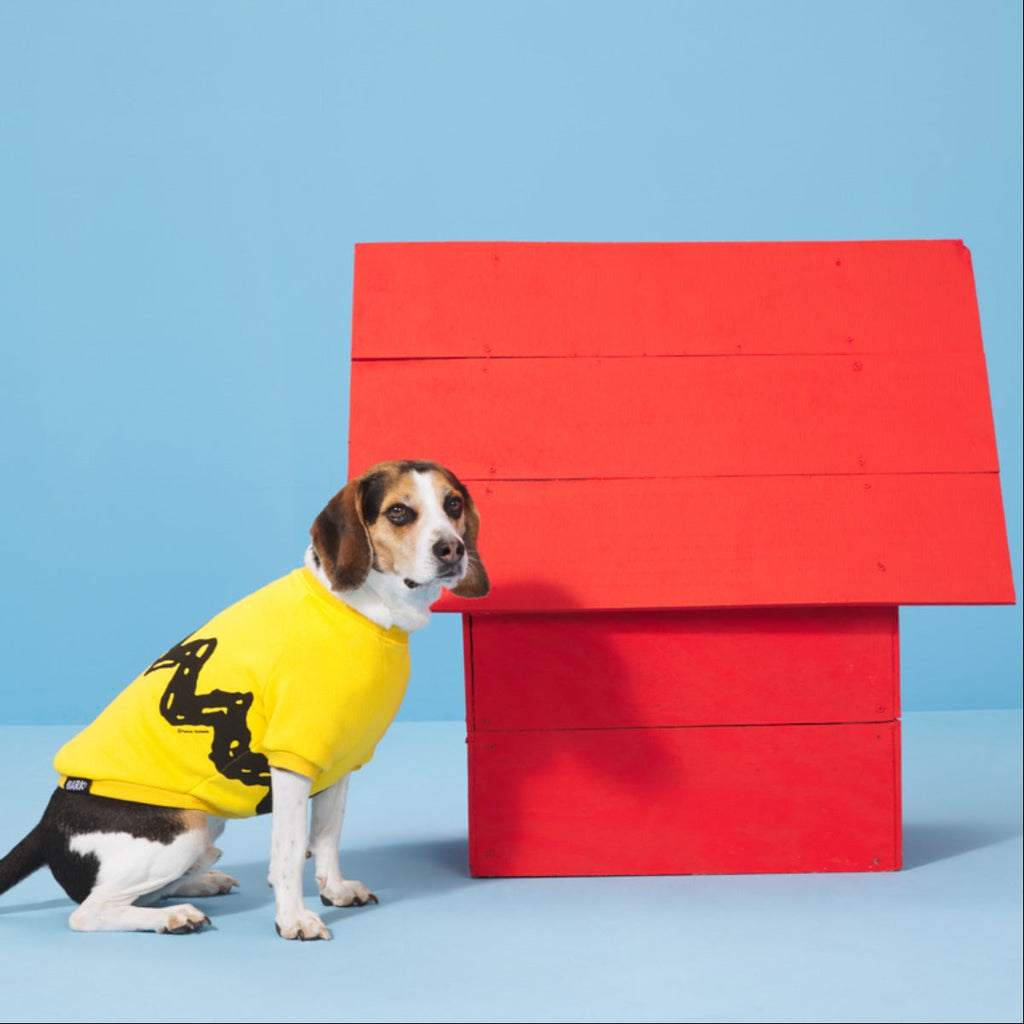 Peanuts Dog Sweatshirt