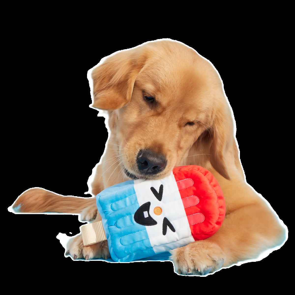 Rocket Droolsicle Plush Tug Dog Toy