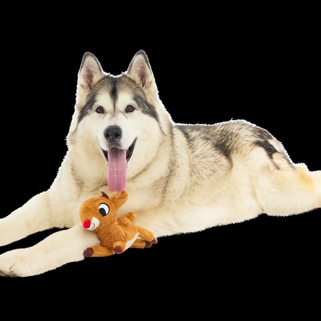 Rudolph® Holiday Gift BarkBox