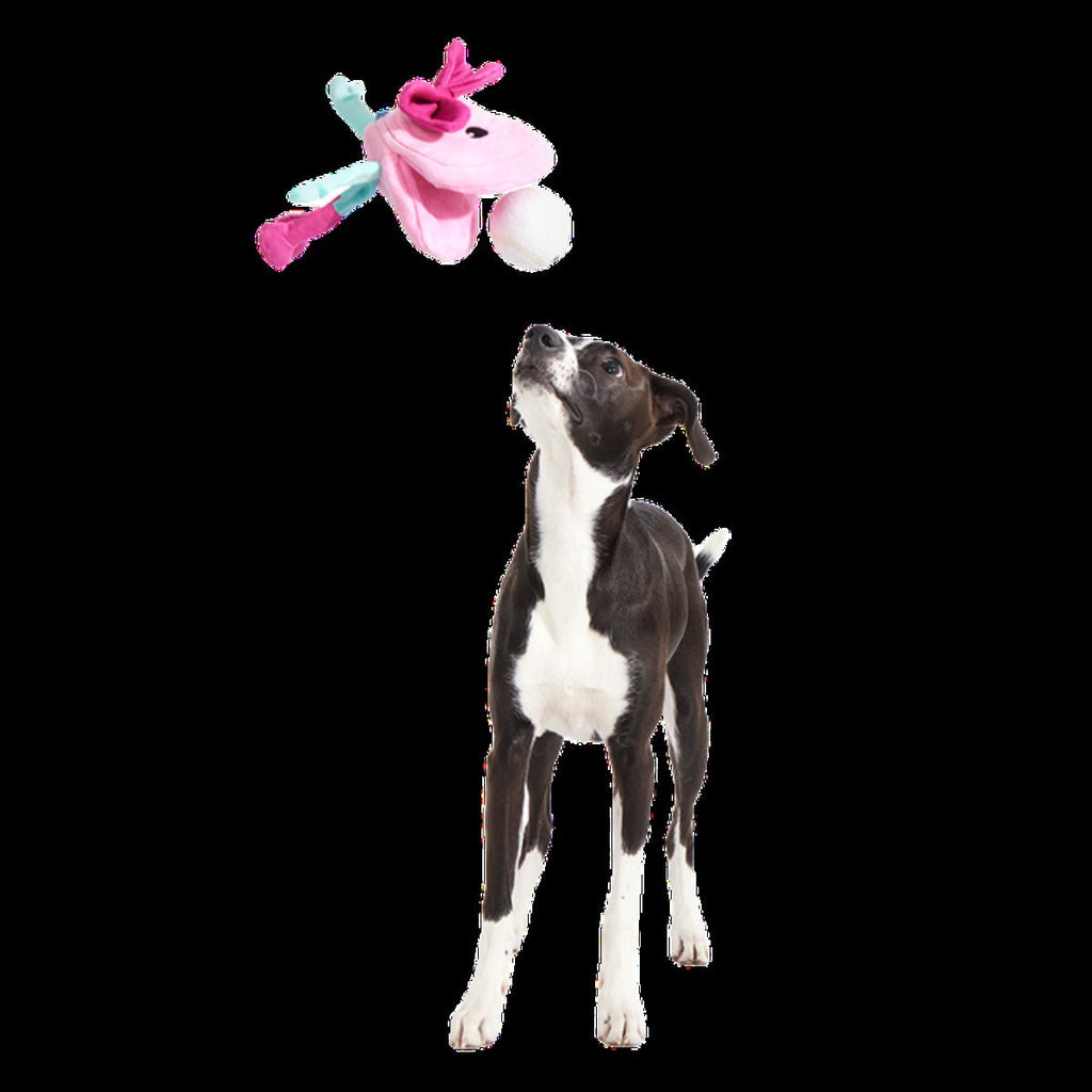Clamantha Plush Multi-Part + Fetch Dog Toy
