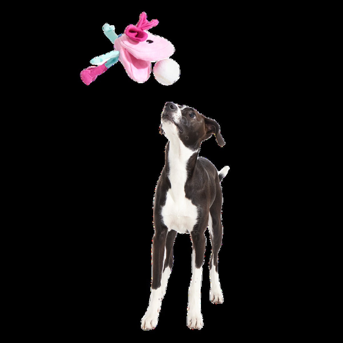 Clamantha Plush Multi-Part + Fetch Dog Toy