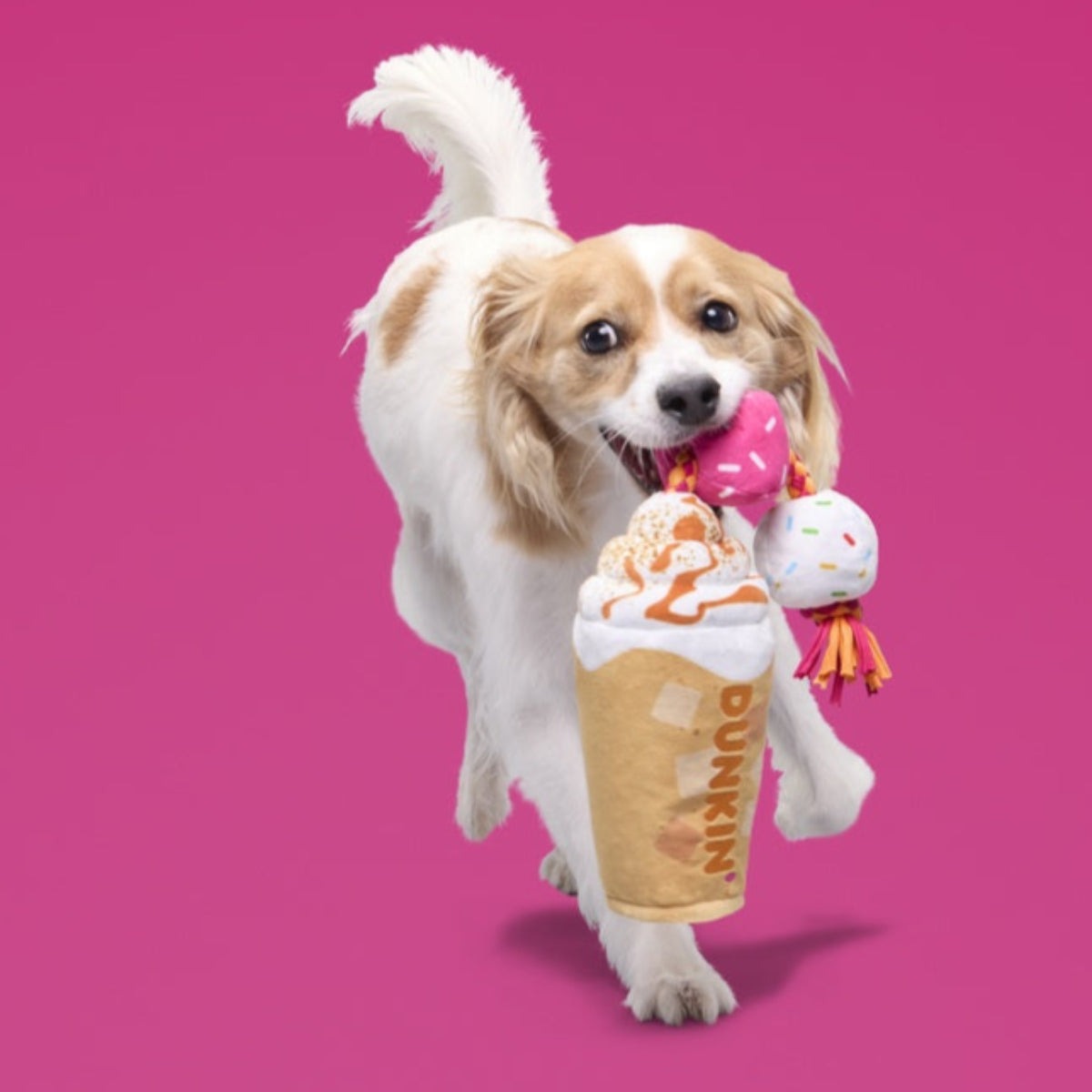 Dunkin'® Pumpkin Signature Latte Plush Tug Dog Toy