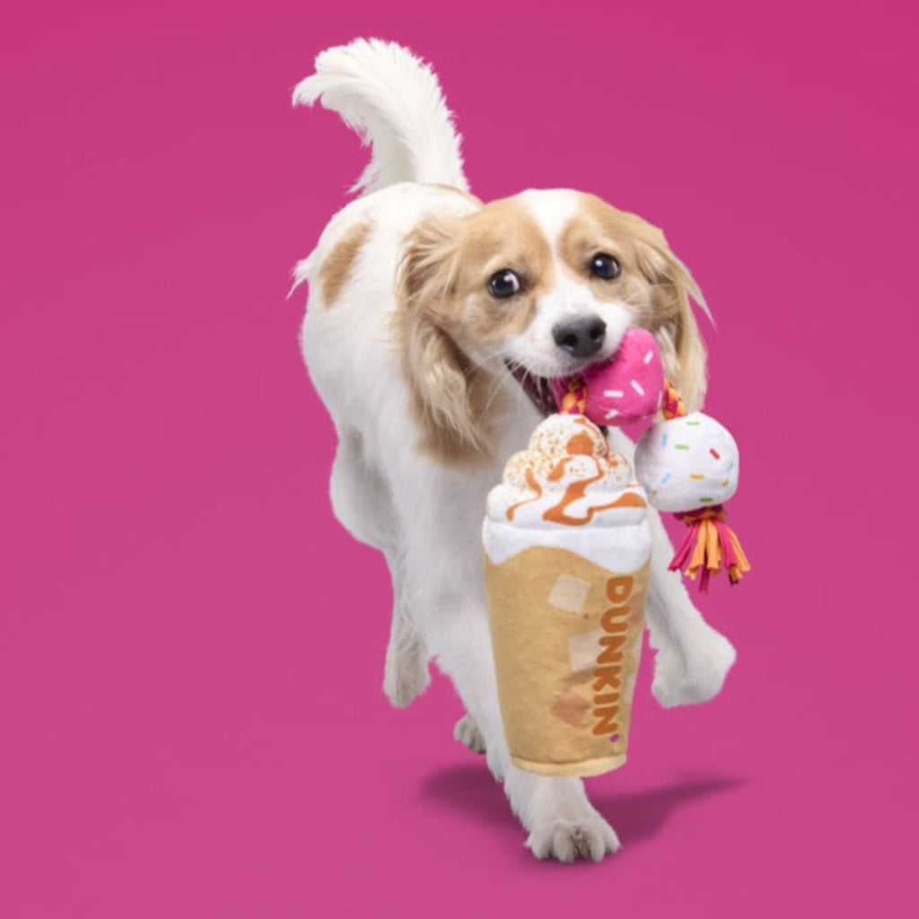 Dunkin'® Pumpkin Signature Latte Plush Tug Dog Toy
