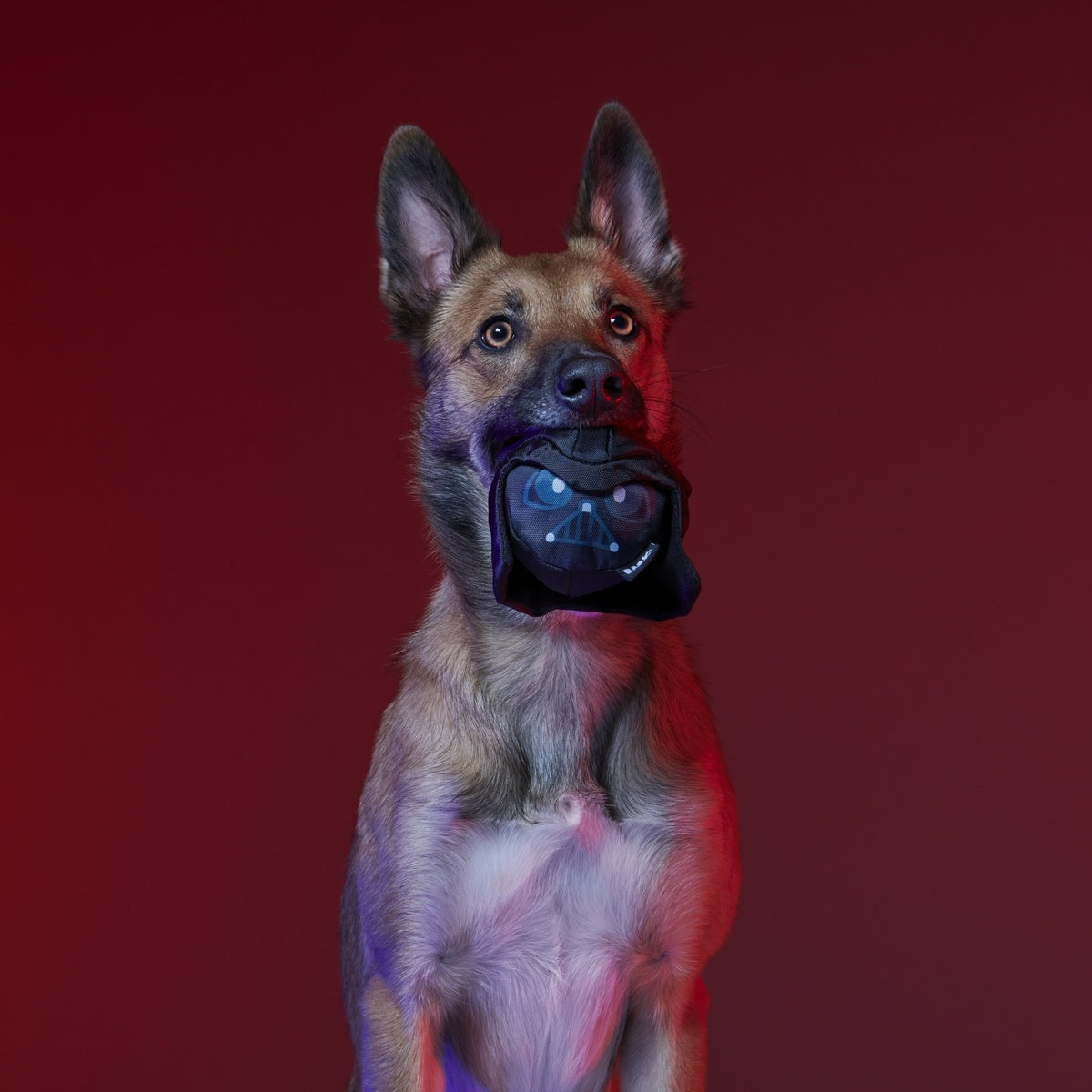 Dark Side Star WarsTM Super Chewer Durable Bundle 2-in-1 + Fetch Dog Toy