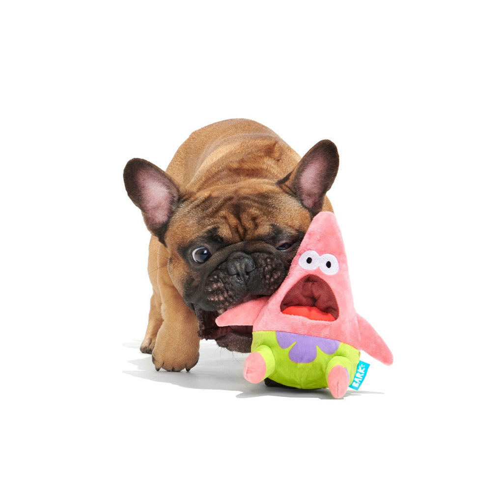 Surprised Patrick Plush Enrichment Dog Toy